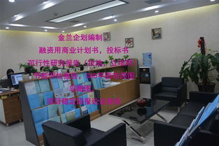 周口本地ppp項目特色小鎮項目公司