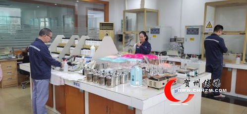 賀州市經(jīng)濟(jì)社會(huì)發(fā)展成就綜述 奮力走在前列 譜寫精彩篇章